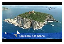 linea blu